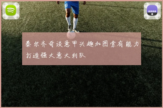 泰尔齐奇谈意甲兴趣加图索有能力打造强大意大利队