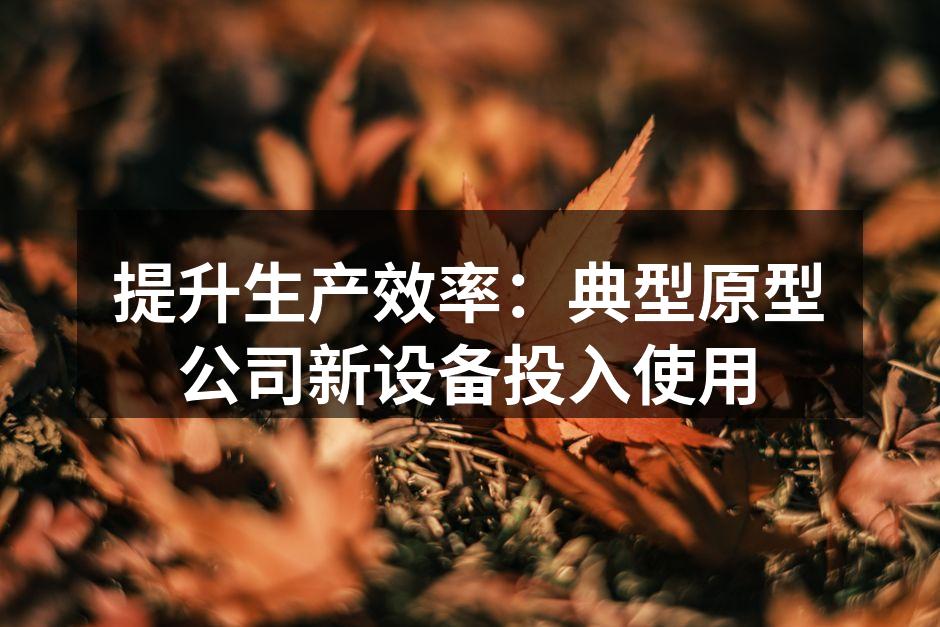 新型设备投入生产线